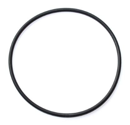 Engine Fuel Filter Housing Sealing O-Ring for Detroit DD13, DD16 & Mercedes-Benz - Replaces Elring 003.020, 4892784