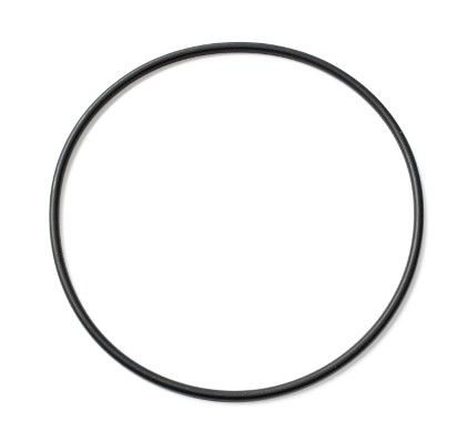 Engine Fuel Filter Housing Sealing O-Ring for Mercedes-Benz & Detroit Diesel Applications - Replaces Elring 003.010, A0179977445