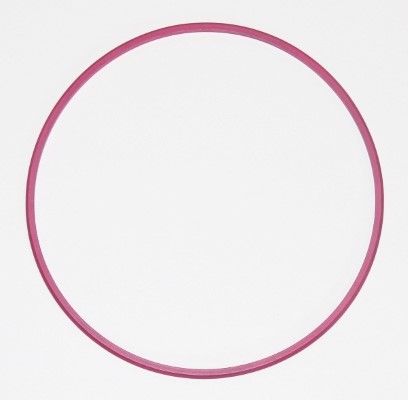 Cylinder Liner Sealing O-Ring for Detroit DD13 & Mercedes-Benz - Replaces Elring 003.881, A0229975345